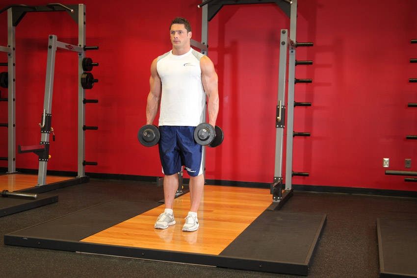 DB Bicep Curl start