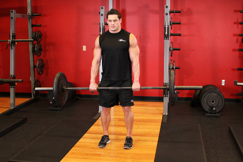 Romanian Deadlift end