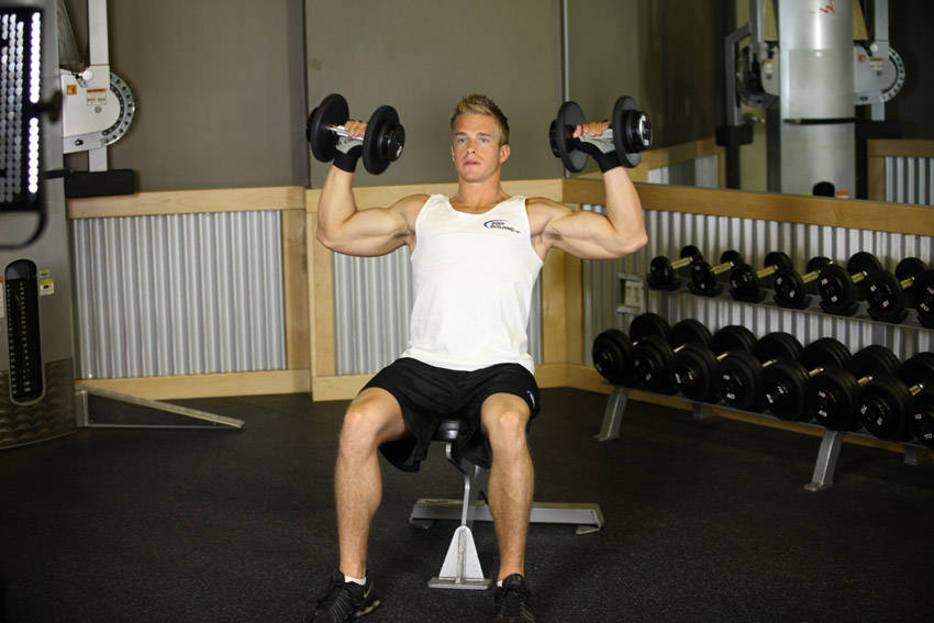 Seated Shoulder Press end
