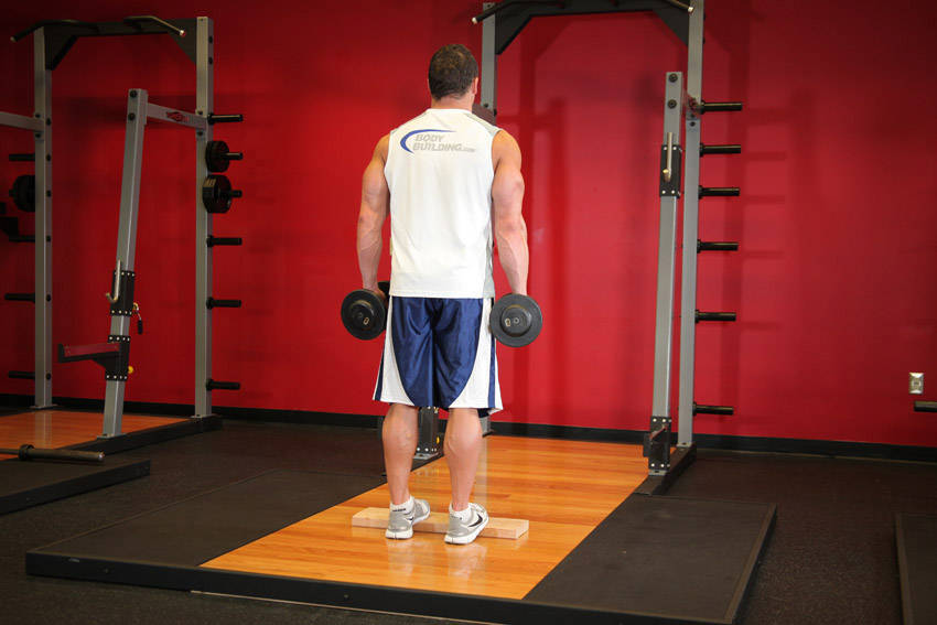 DB Calf Raise start