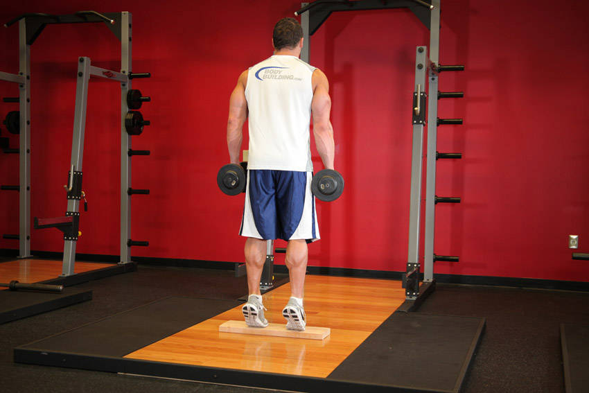 DB Calf Raise end